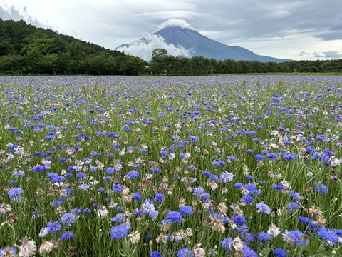 2024/07/11の写真