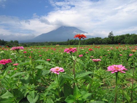 2009/07/12の写真