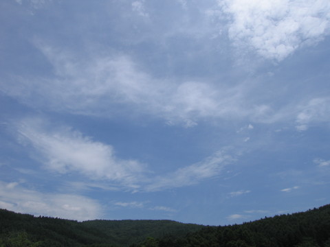 2009/07/14の写真