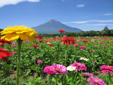 2009/07/15の写真