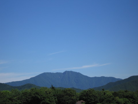 2009/07/16の写真