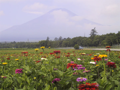 2005/06/12の写真