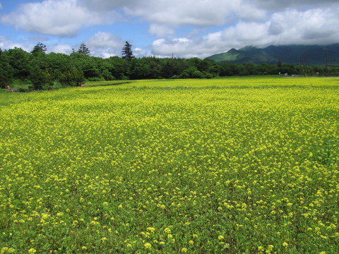 2010/06/16の写真