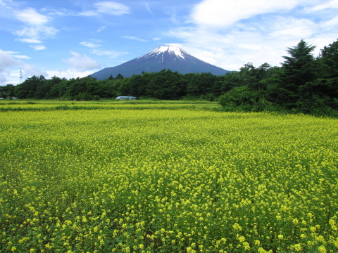 2010/06/28の写真