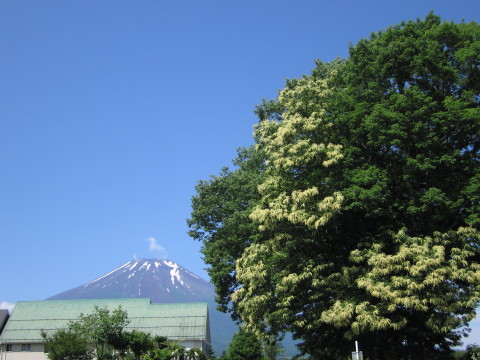 2010/07/10の写真