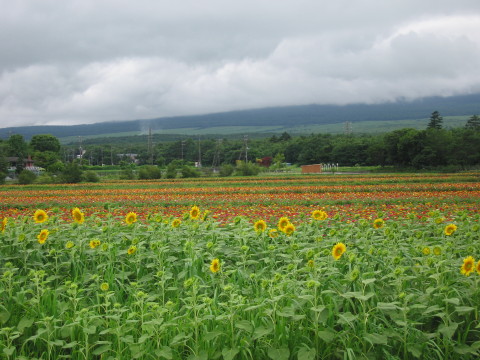 2010/08/04の写真