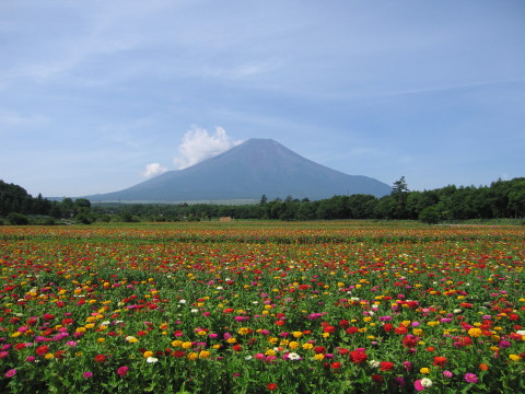 2010/08/16の写真