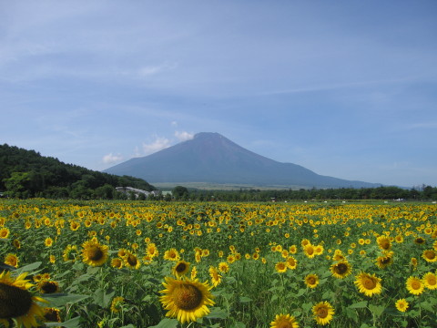 2010/08/16の写真