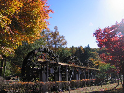 2010/11/05の写真