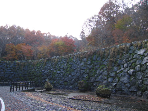 2010/11/15の写真