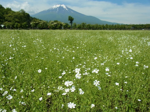 2011/06/22の写真