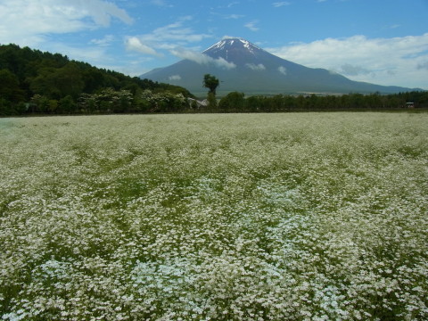 2011/06/28の写真