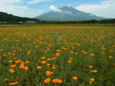 2011/06/28の写真