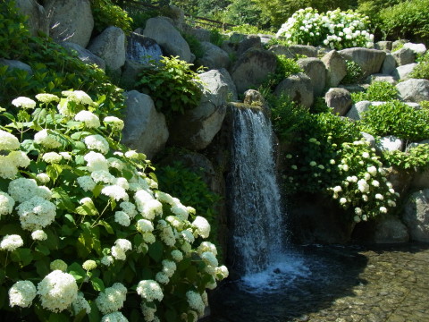 2011/07/12の写真