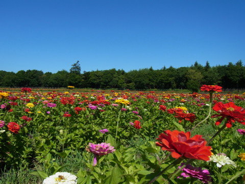 2011/07/23の写真