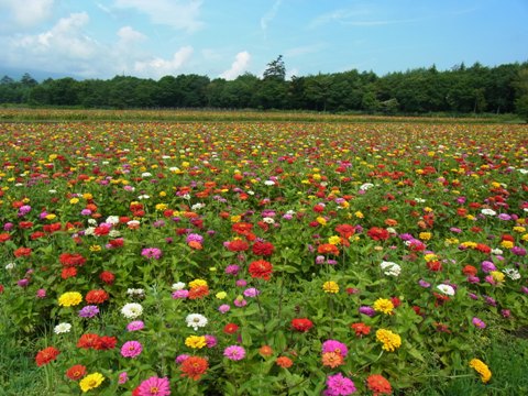 2011/08/07の写真