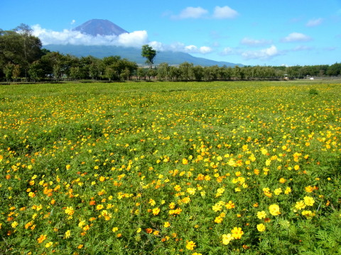 2011/09/13の写真