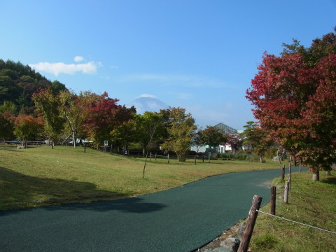 2011/10/14の写真