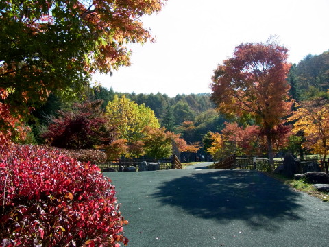 2011/10/25の写真