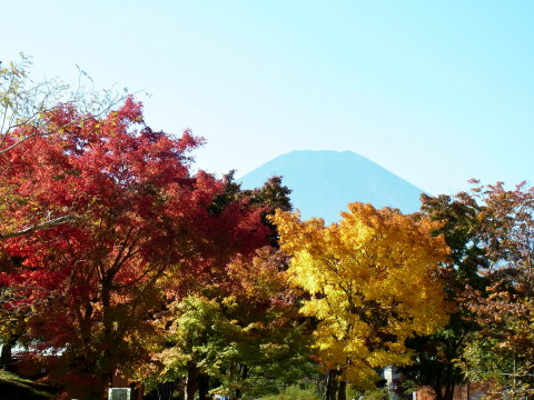 2011/10/31の写真