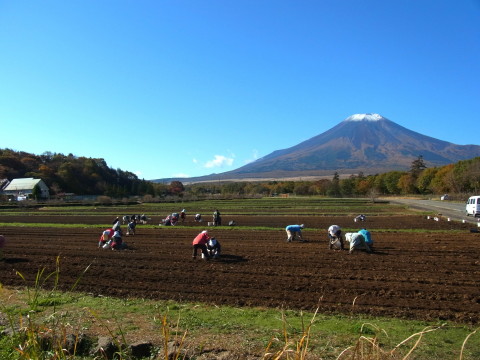 2011/10/31の写真