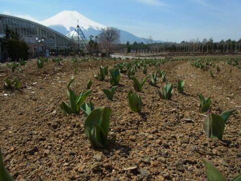 2012/04/10の写真