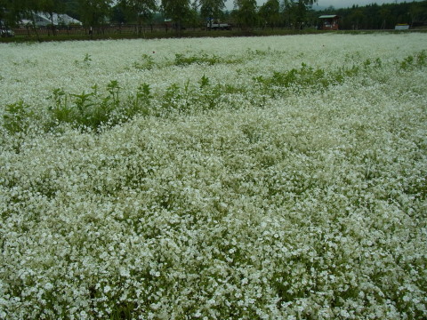 2012/07/07の写真