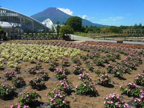 2012/07/31の写真