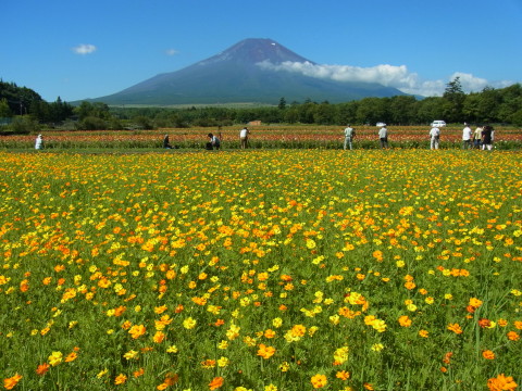 2012/08/20の写真