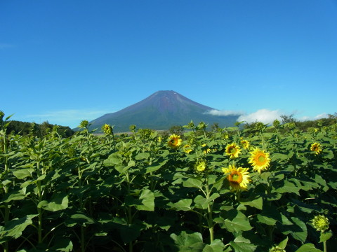 2012/09/16の写真