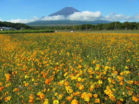 2012/09/20の写真