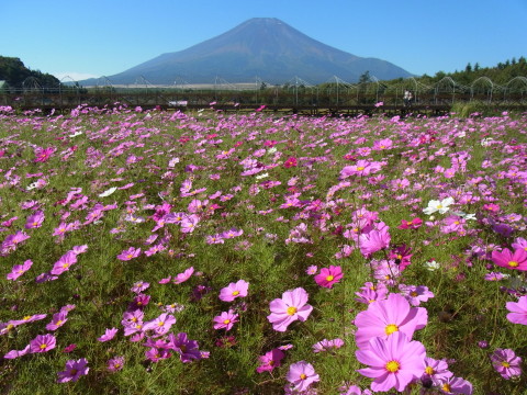 2012/10/15の写真