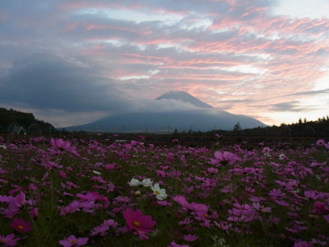 2012/10/15の写真