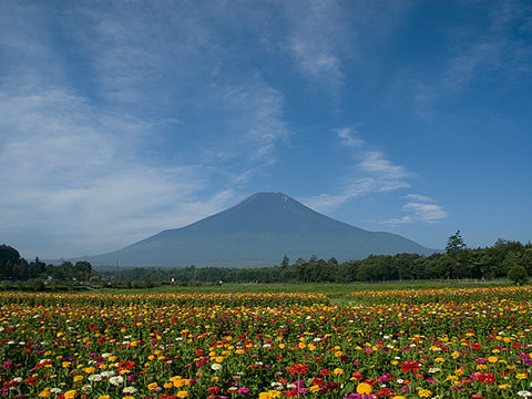 2007/08/01の写真