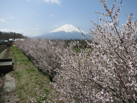 2013/04/18の写真