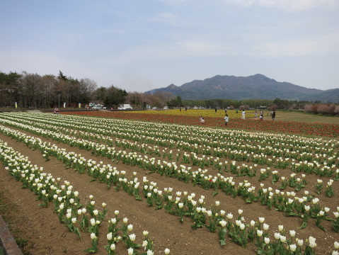 2013/04/29の写真