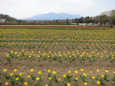 2013/04/29の写真