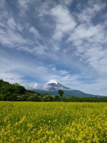 2013/06/22の写真