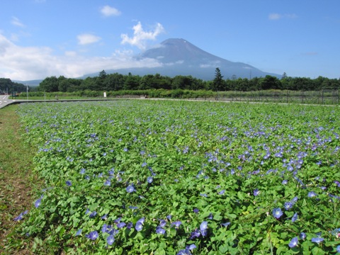 2007/08/19の写真