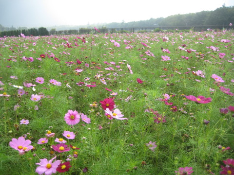 2013/09/07の写真