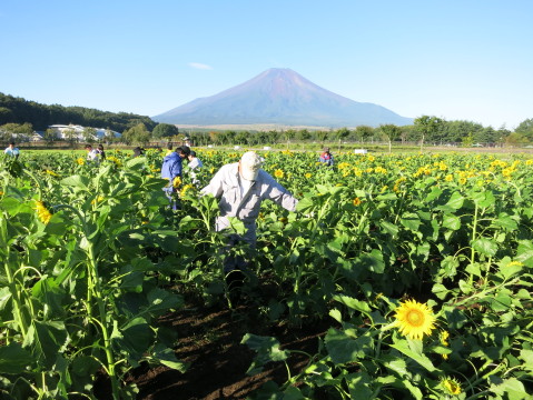 2013/09/18の写真