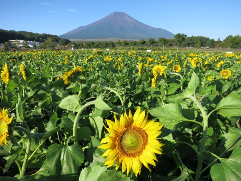 2013/09/18の写真