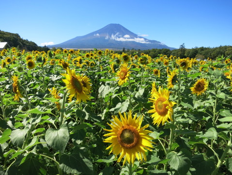 2013/10/11の写真