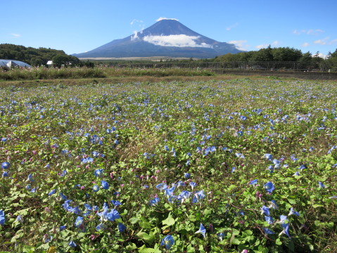 2013/10/11の写真