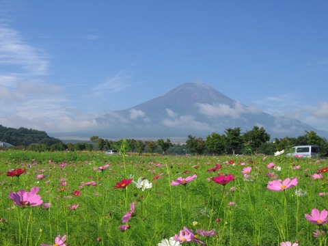 2007/08/25の写真