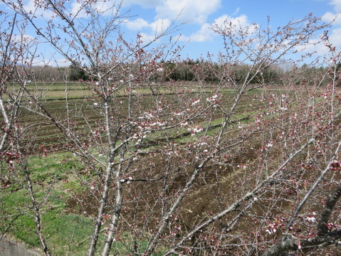 2014/04/23の写真