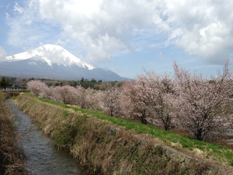 2014/05/01の写真