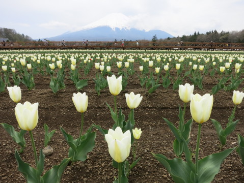 2014/05/06の写真