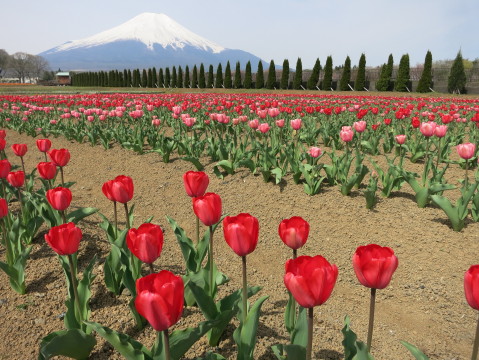 2014/05/08の写真