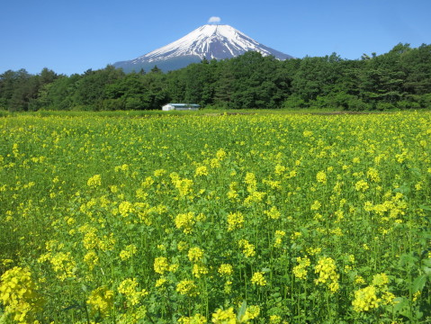 2014/06/13の写真